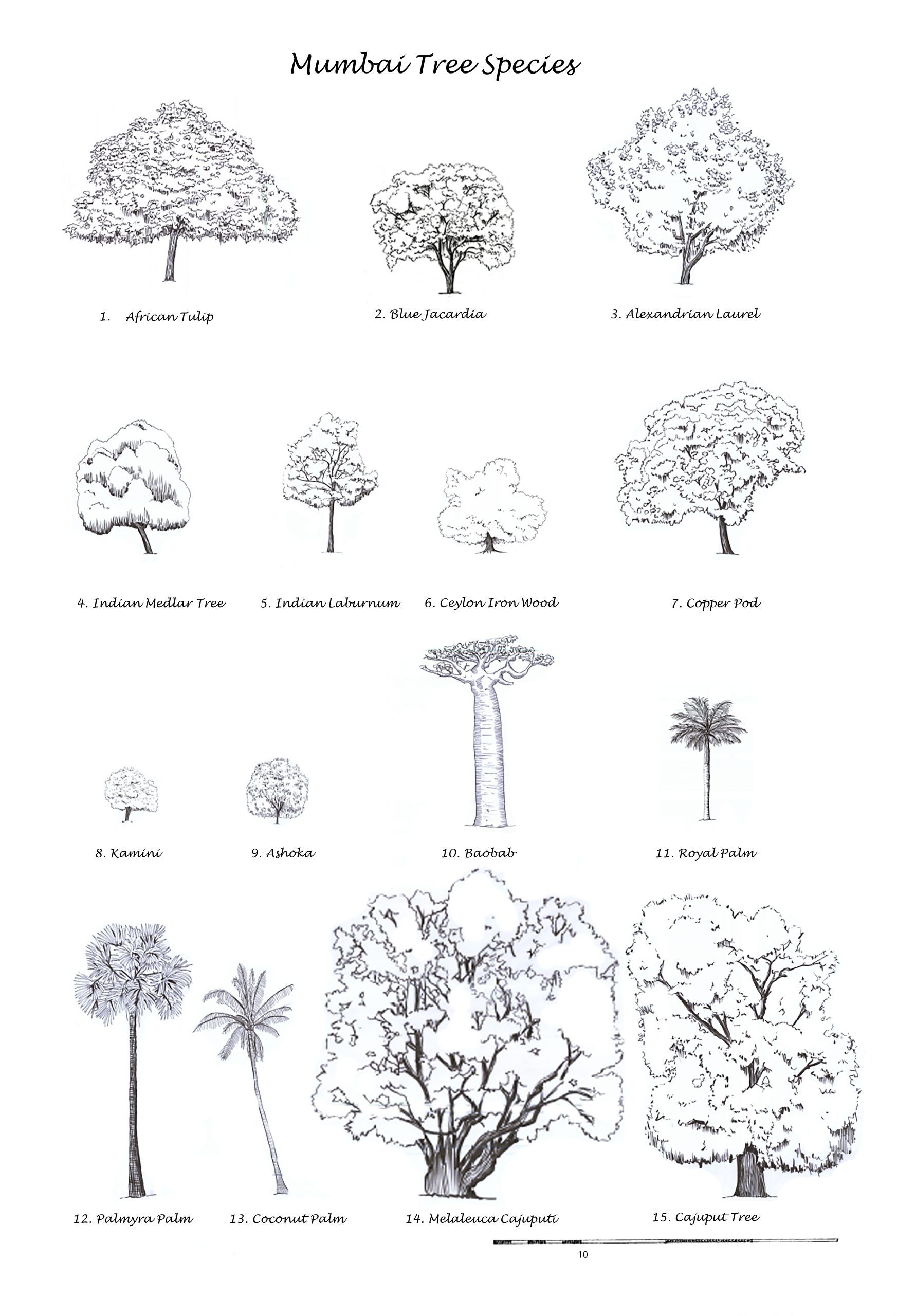 Thumbnail for gallery image 70